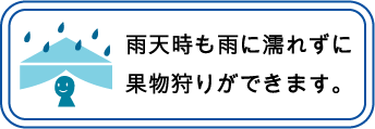 雨天時も大丈夫